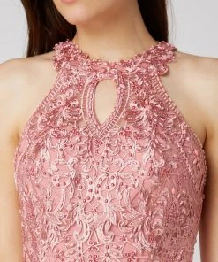 Laona Abendkleid Mit Collierkragen - Rosé -Vera Wang Shop a96kmeah6ta38h1n6cr52e1k9124gcii6h94qhih9513ec9l89246cqb88p36j2da0q58jil953l0dhm913jic9jcoqmadr16gr66dpkccs68o9m6cq32opi6pgm2c1m71hm6c0